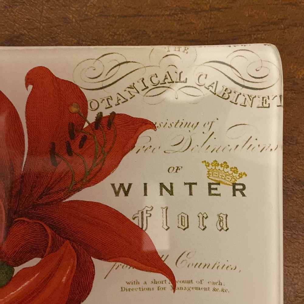 ❌Donated❌Small “Winter Botanical” Dish - Picture 8 of 8
